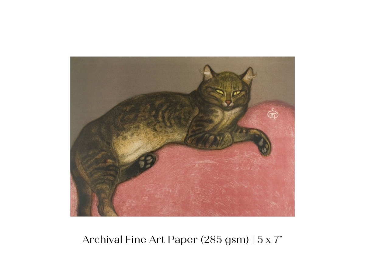Cat on a Cushion | P330 - Single Art Prints - Piccolo Fiore Prints