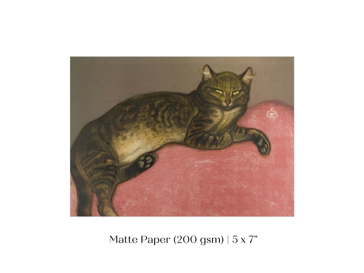 Cat on a Cushion | P330 - Single Art Prints - Piccolo Fiore Prints