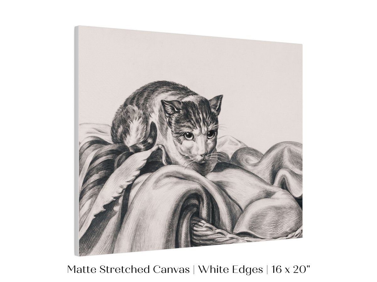 Cat Sitting in a Basket Sketch | P214 - Single Art Prints - Piccolo Fiore Prints