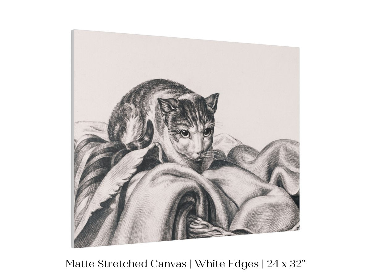 Cat Sitting in a Basket Sketch | P214 - Single Art Prints - Piccolo Fiore Prints