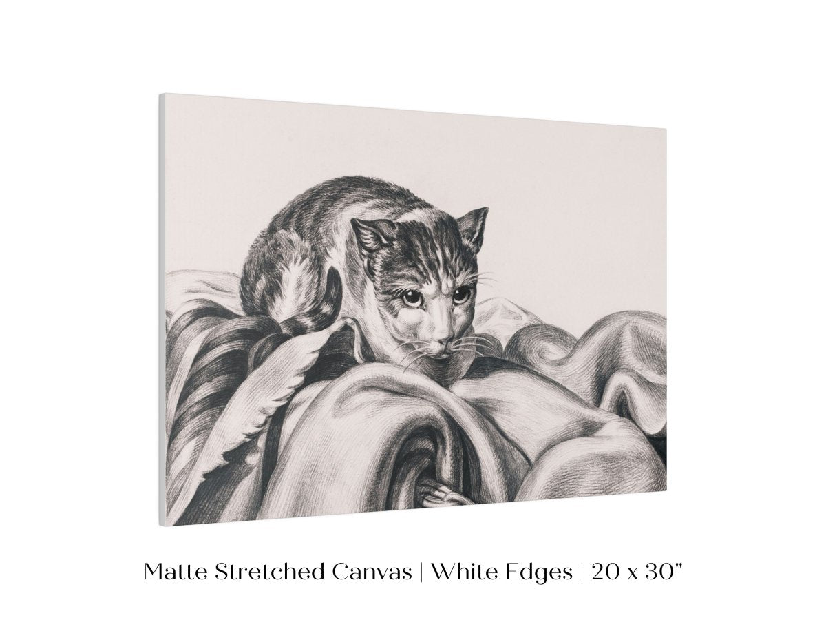 Cat Sitting in a Basket Sketch | P214 - Single Art Prints - Piccolo Fiore Prints