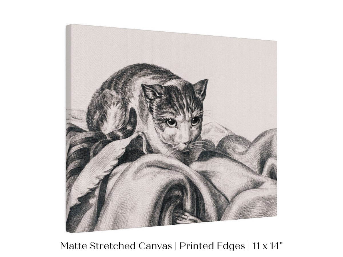 Cat Sitting in a Basket Sketch | P214 - Single Art Prints - Piccolo Fiore Prints