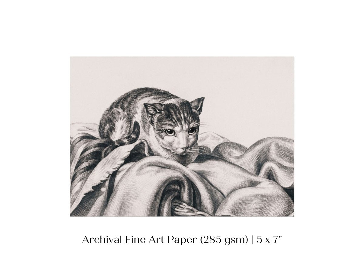 Cat Sitting in a Basket Sketch | P214 - Single Art Prints - Piccolo Fiore Prints