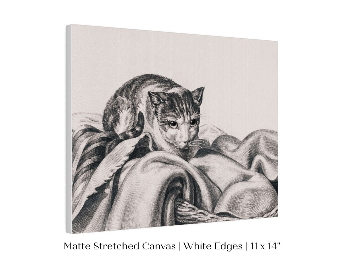 Cat Sitting in a Basket Sketch | P214 - Single Art Prints - Piccolo Fiore Prints
