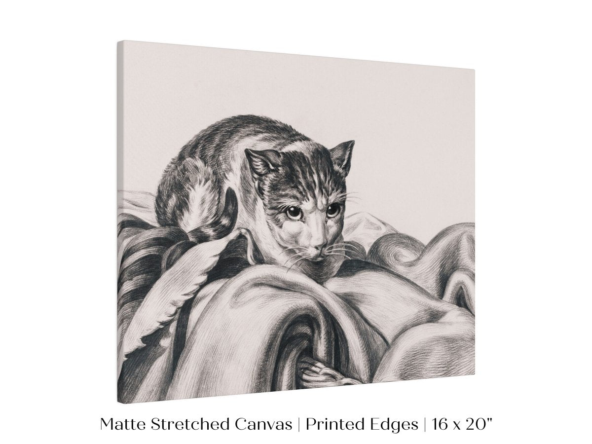 Cat Sitting in a Basket Sketch | P214 - Single Art Prints - Piccolo Fiore Prints