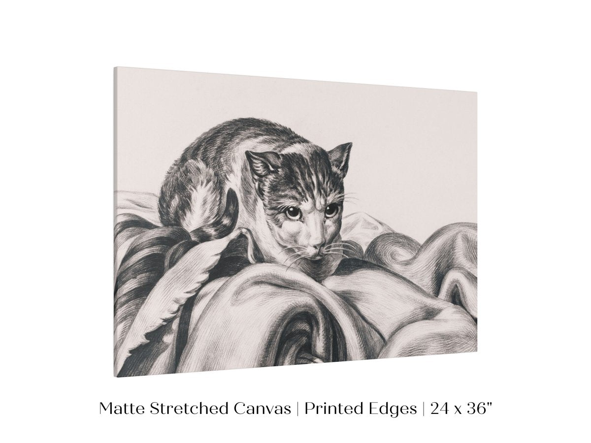 Cat Sitting in a Basket Sketch | P214 - Single Art Prints - Piccolo Fiore Prints