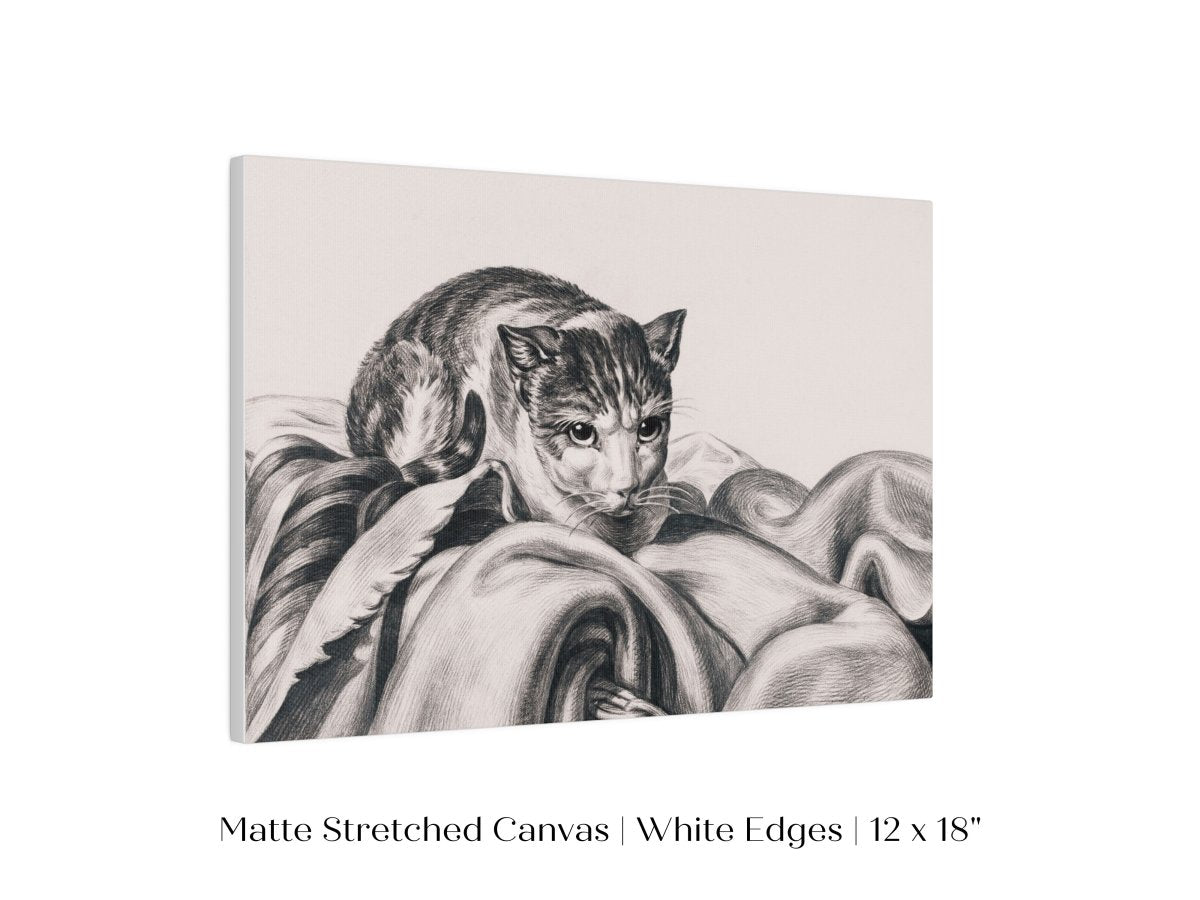 Cat Sitting in a Basket Sketch | P214 - Single Art Prints - Piccolo Fiore Prints