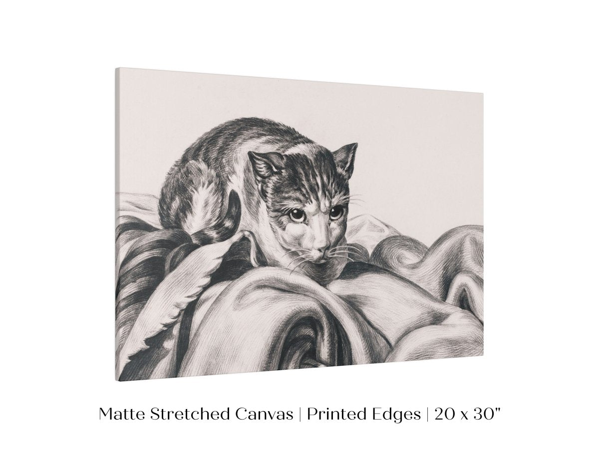 Cat Sitting in a Basket Sketch | P214 - Single Art Prints - Piccolo Fiore Prints