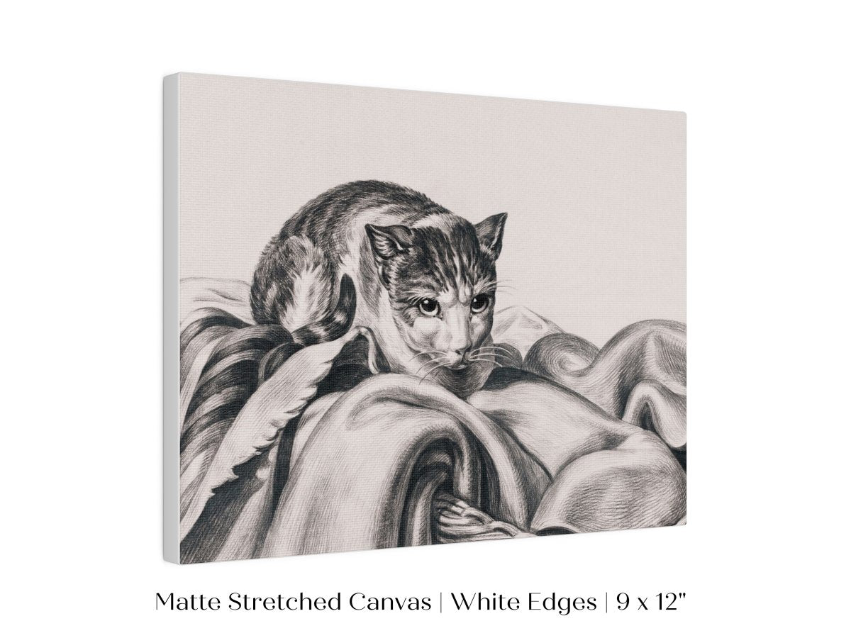 Cat Sitting in a Basket Sketch | P214 - Single Art Prints - Piccolo Fiore Prints