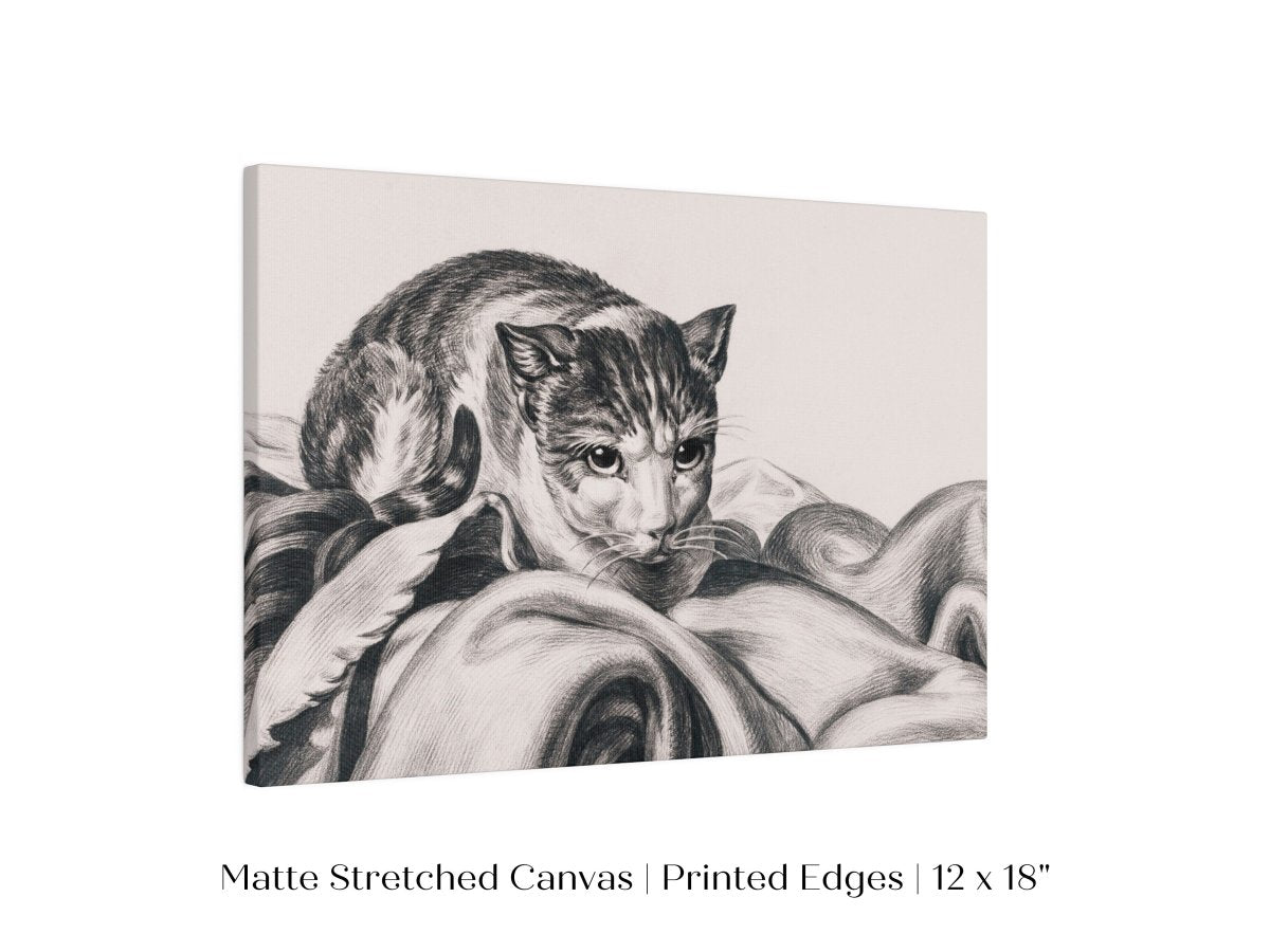 Cat Sitting in a Basket Sketch | P214 - Single Art Prints - Piccolo Fiore Prints