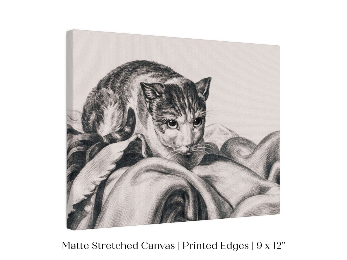 Cat Sitting in a Basket Sketch | P214 - Single Art Prints - Piccolo Fiore Prints