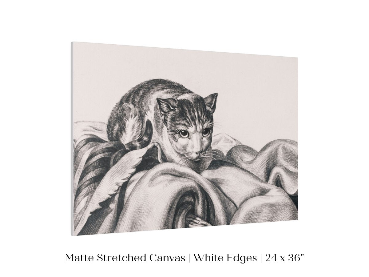 Cat Sitting in a Basket Sketch | P214 - Single Art Prints - Piccolo Fiore Prints