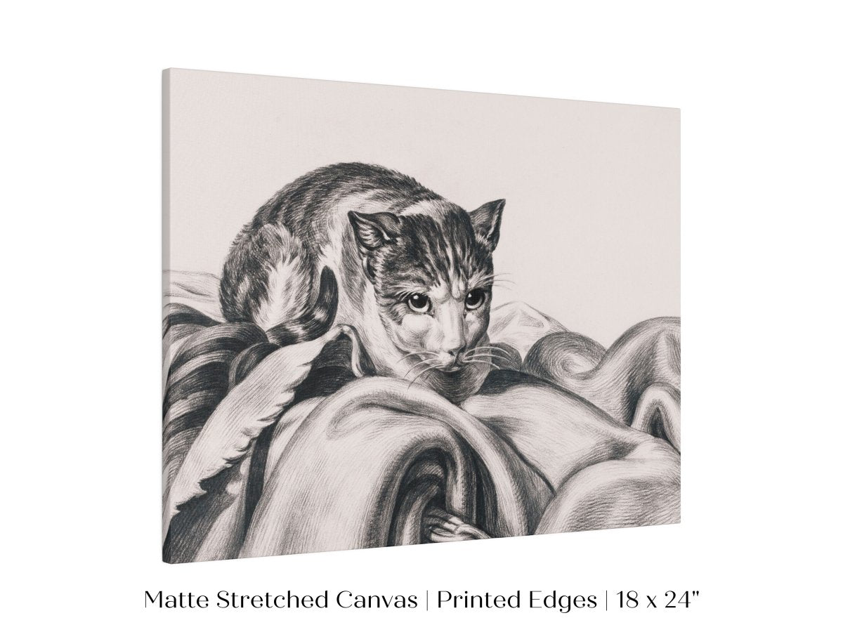 Cat Sitting in a Basket Sketch | P214 - Single Art Prints - Piccolo Fiore Prints