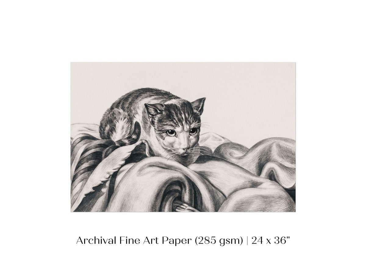Cat Sitting in a Basket Sketch | P214 - Single Art Prints - Piccolo Fiore Prints