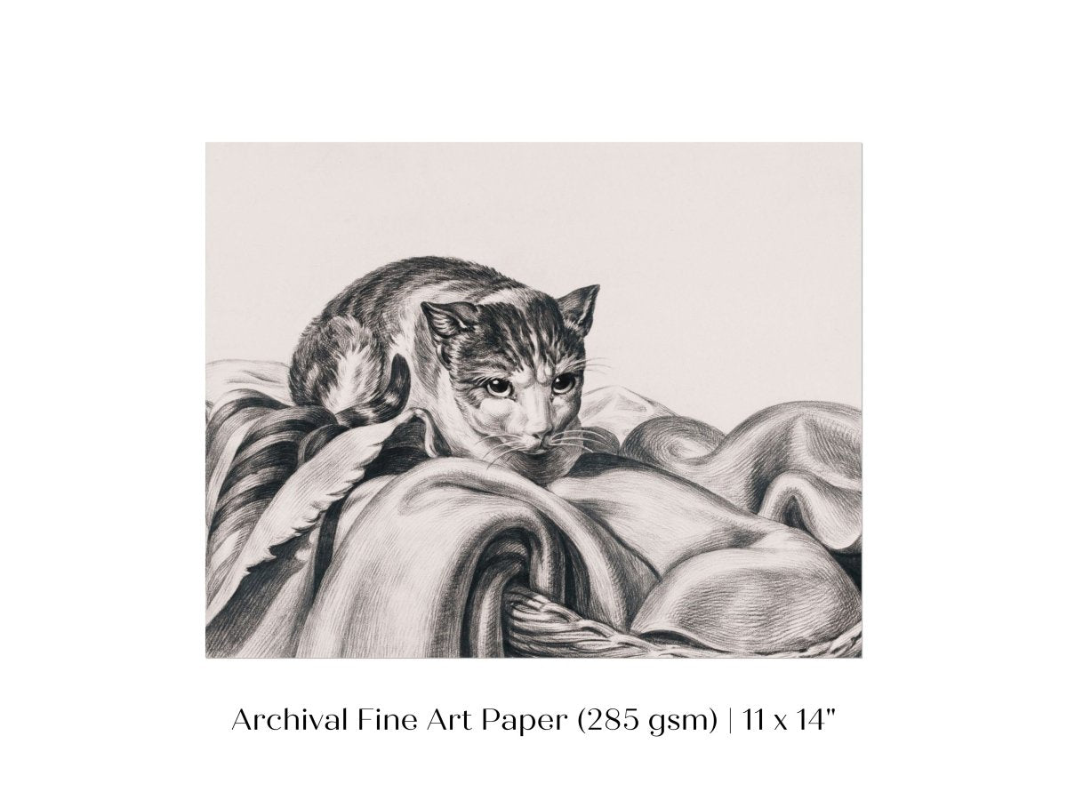 Cat Sitting in a Basket Sketch | P214 - Single Art Prints - Piccolo Fiore Prints