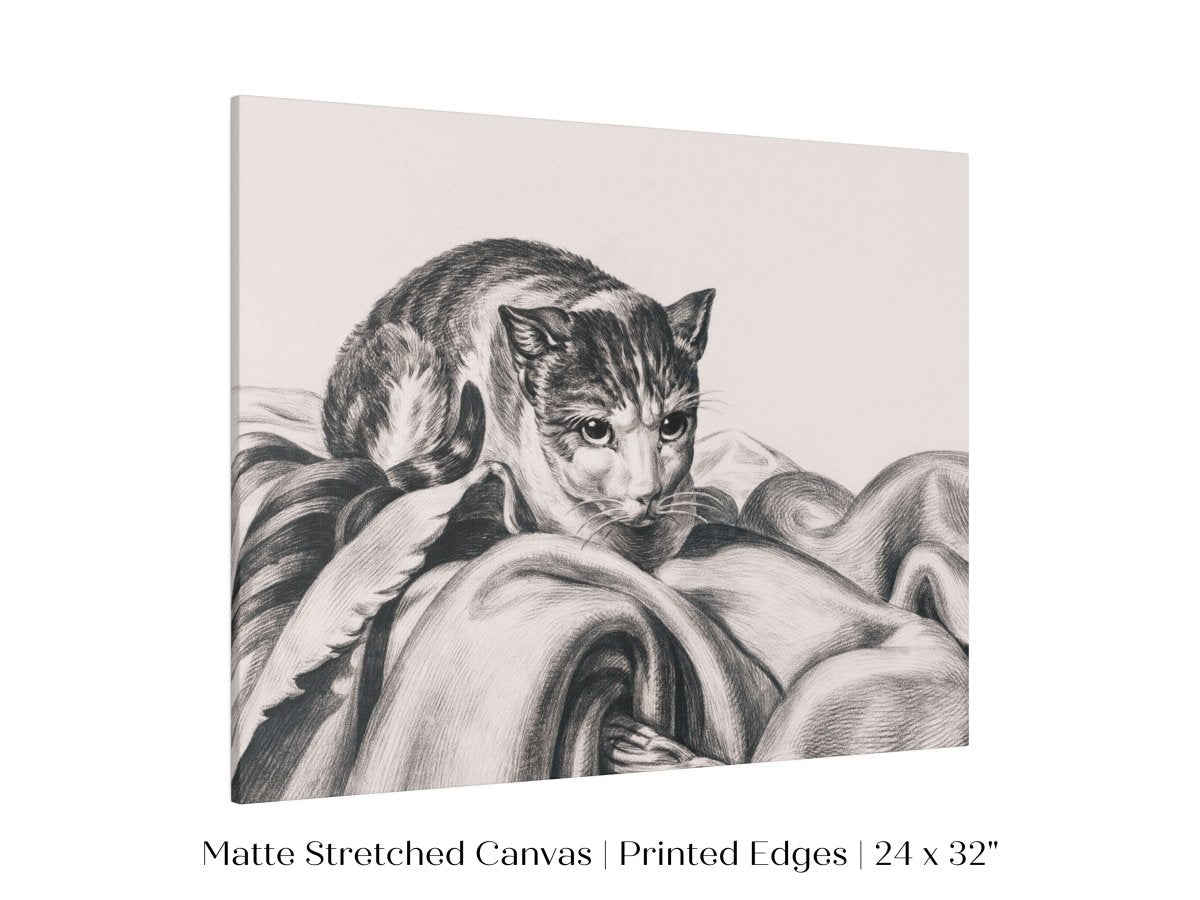 Cat Sitting in a Basket Sketch | P214 - Single Art Prints - Piccolo Fiore Prints