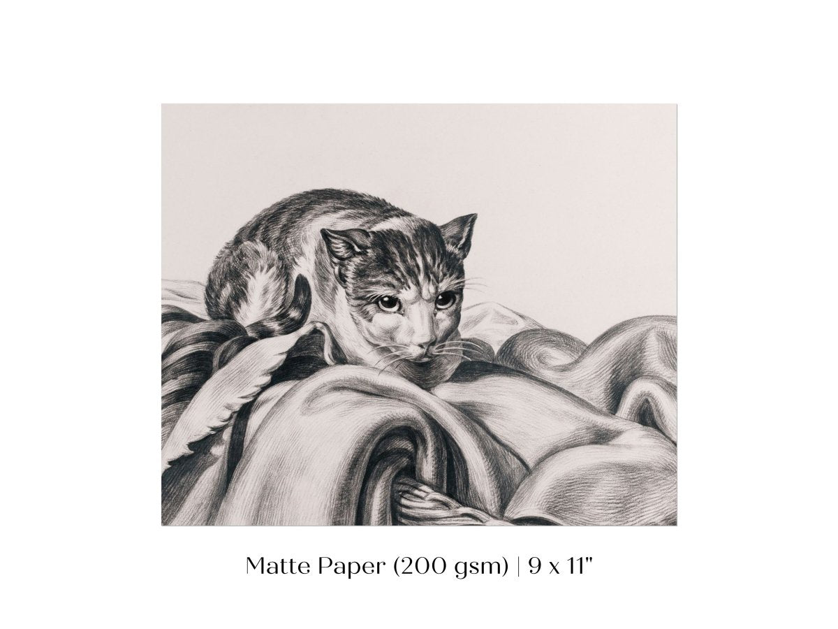 Cat Sitting in a Basket Sketch | P214 - Single Art Prints - Piccolo Fiore Prints