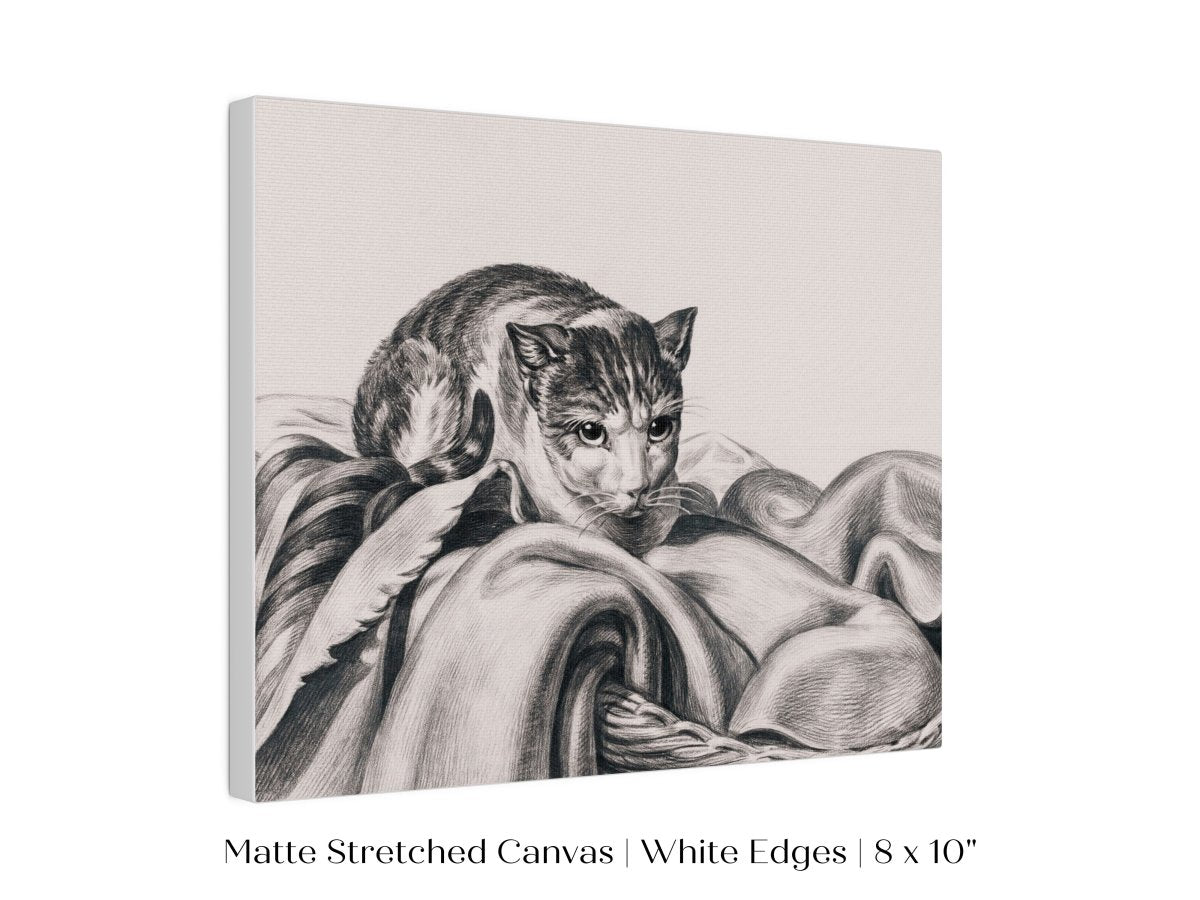 Cat Sitting in a Basket Sketch | P214 - Single Art Prints - Piccolo Fiore Prints