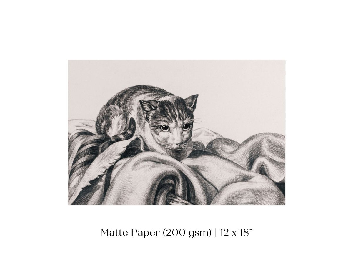 Cat Sitting in a Basket Sketch | P214 - Single Art Prints - Piccolo Fiore Prints