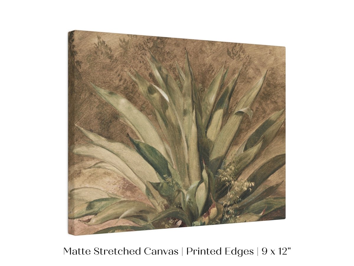 Century Plant | P371 - Single Art Prints - Piccolo Fiore Prints