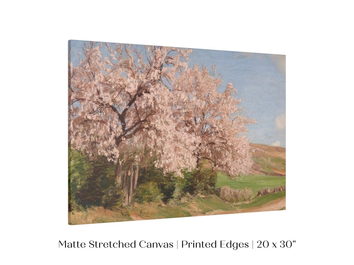 Cherry Blossom | P440 - Single Art Prints - Piccolo Fiore Prints