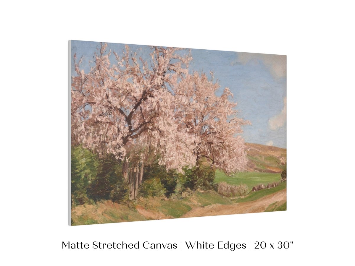 Cherry Blossom | P440 - Single Art Prints - Piccolo Fiore Prints