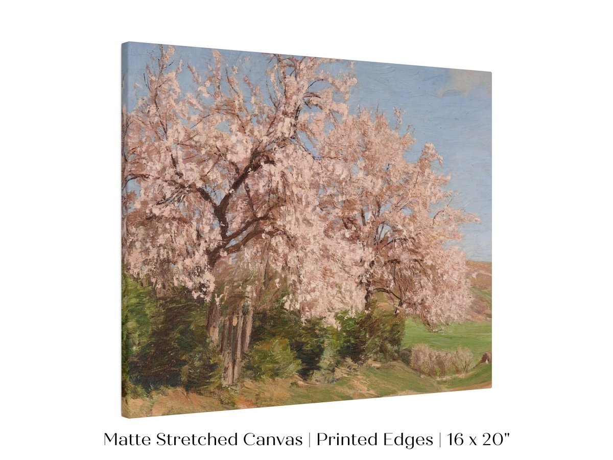 Cherry Blossom | P440 - Single Art Prints - Piccolo Fiore Prints