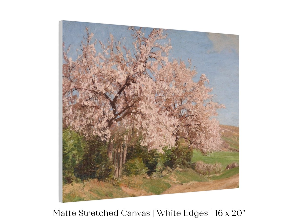 Cherry Blossom | P440 - Single Art Prints - Piccolo Fiore Prints