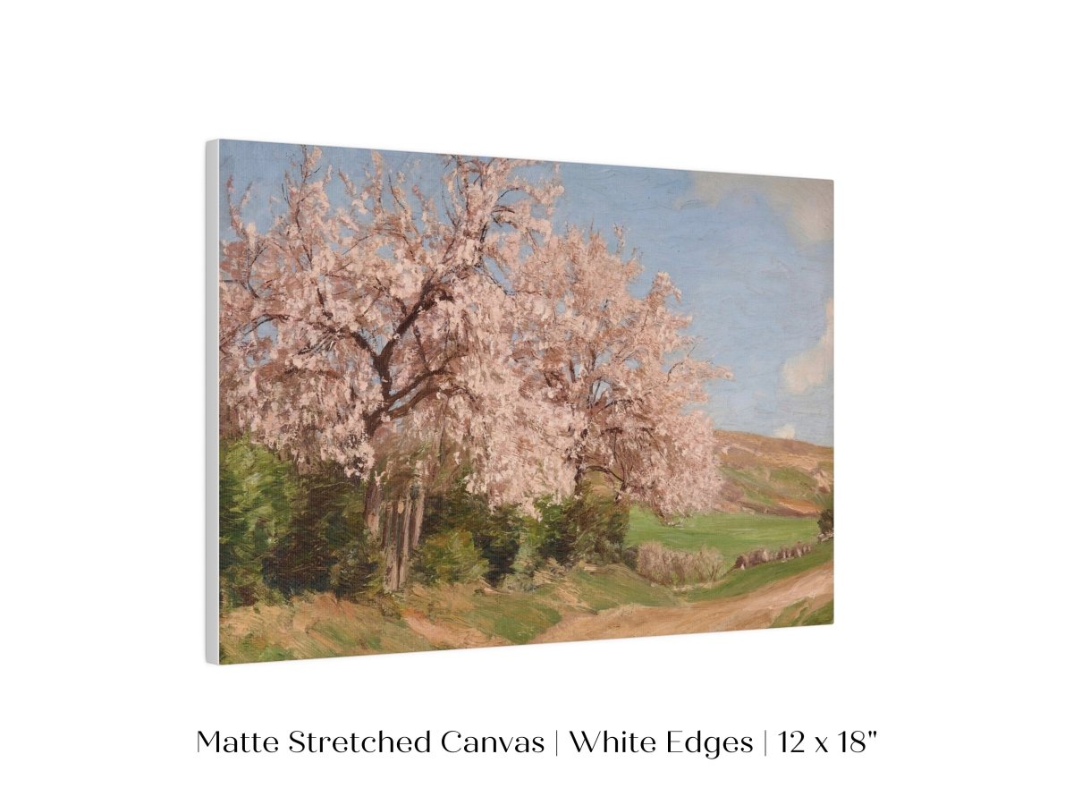 Cherry Blossom | P440 - Single Art Prints - Piccolo Fiore Prints
