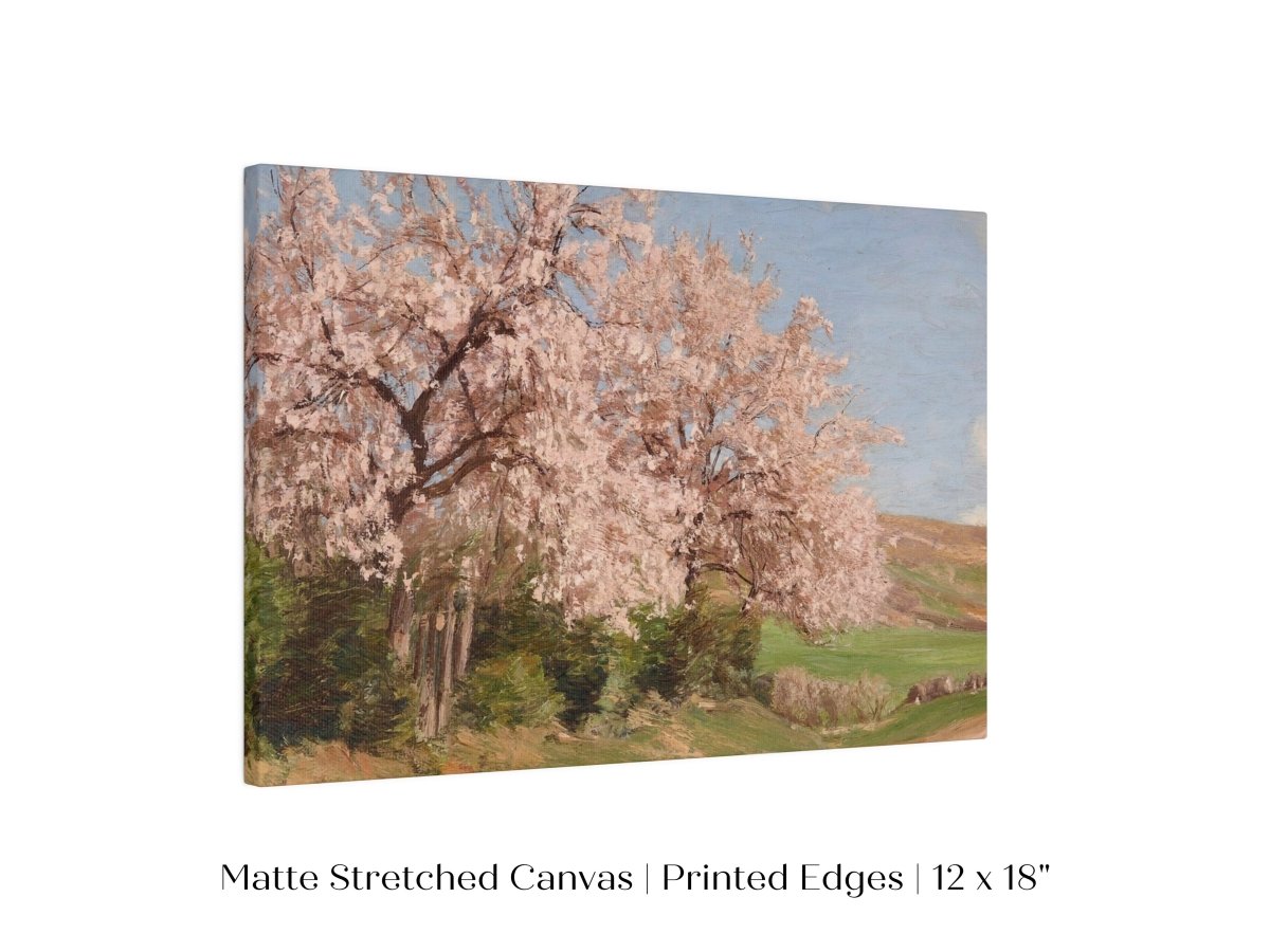 Cherry Blossom | P440 - Single Art Prints - Piccolo Fiore Prints