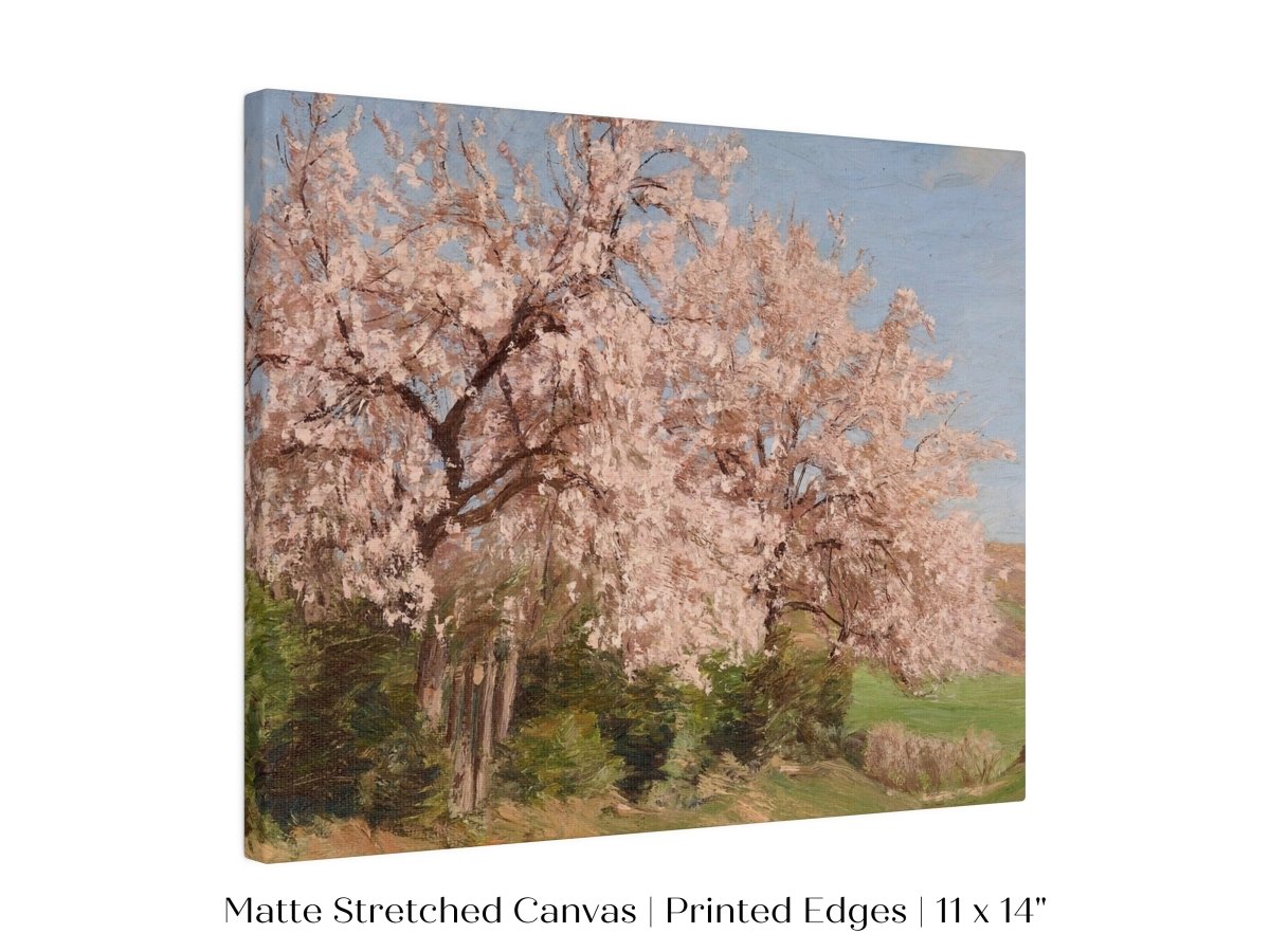 Cherry Blossom | P440 - Single Art Prints - Piccolo Fiore Prints