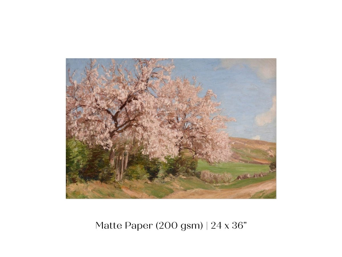 Cherry Blossom | P440 - Single Art Prints - Piccolo Fiore Prints