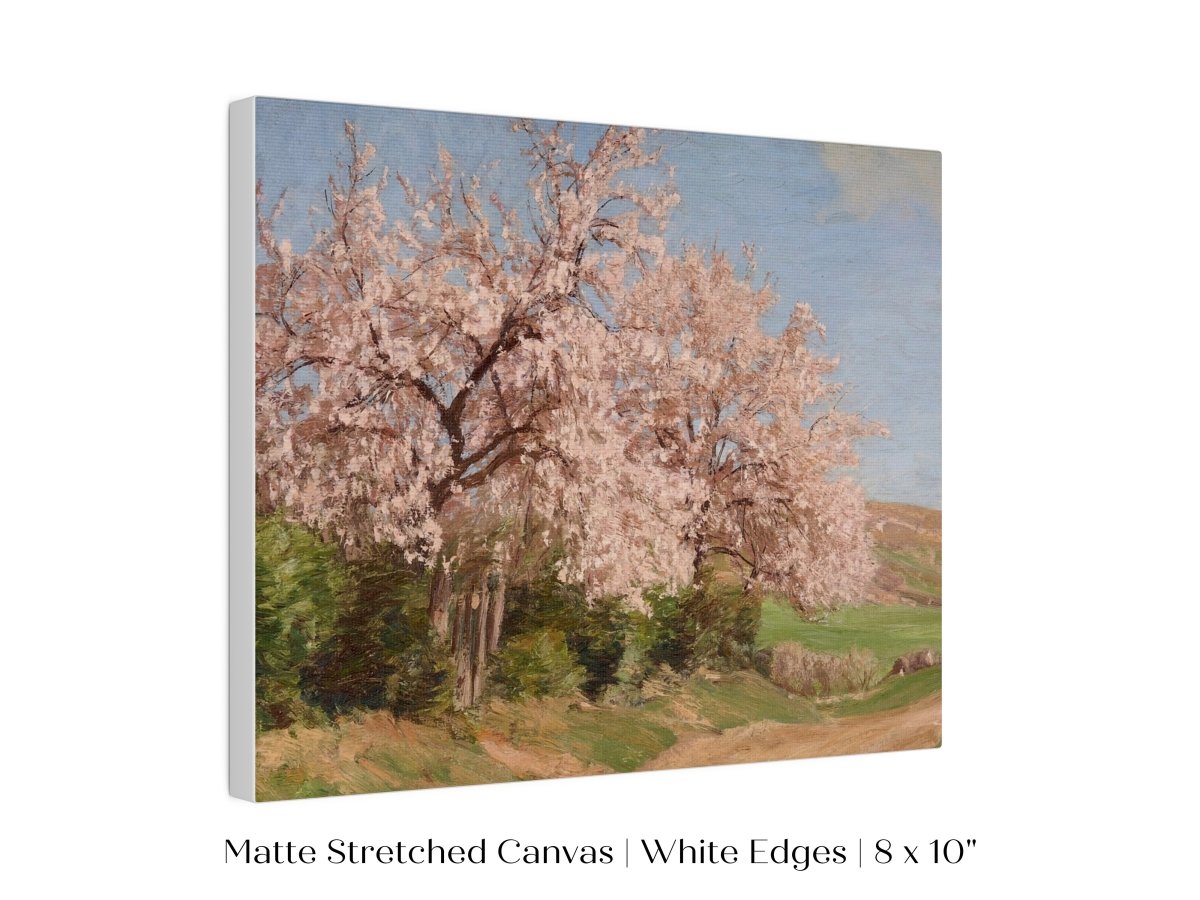 Cherry Blossom | P440 - Single Art Prints - Piccolo Fiore Prints