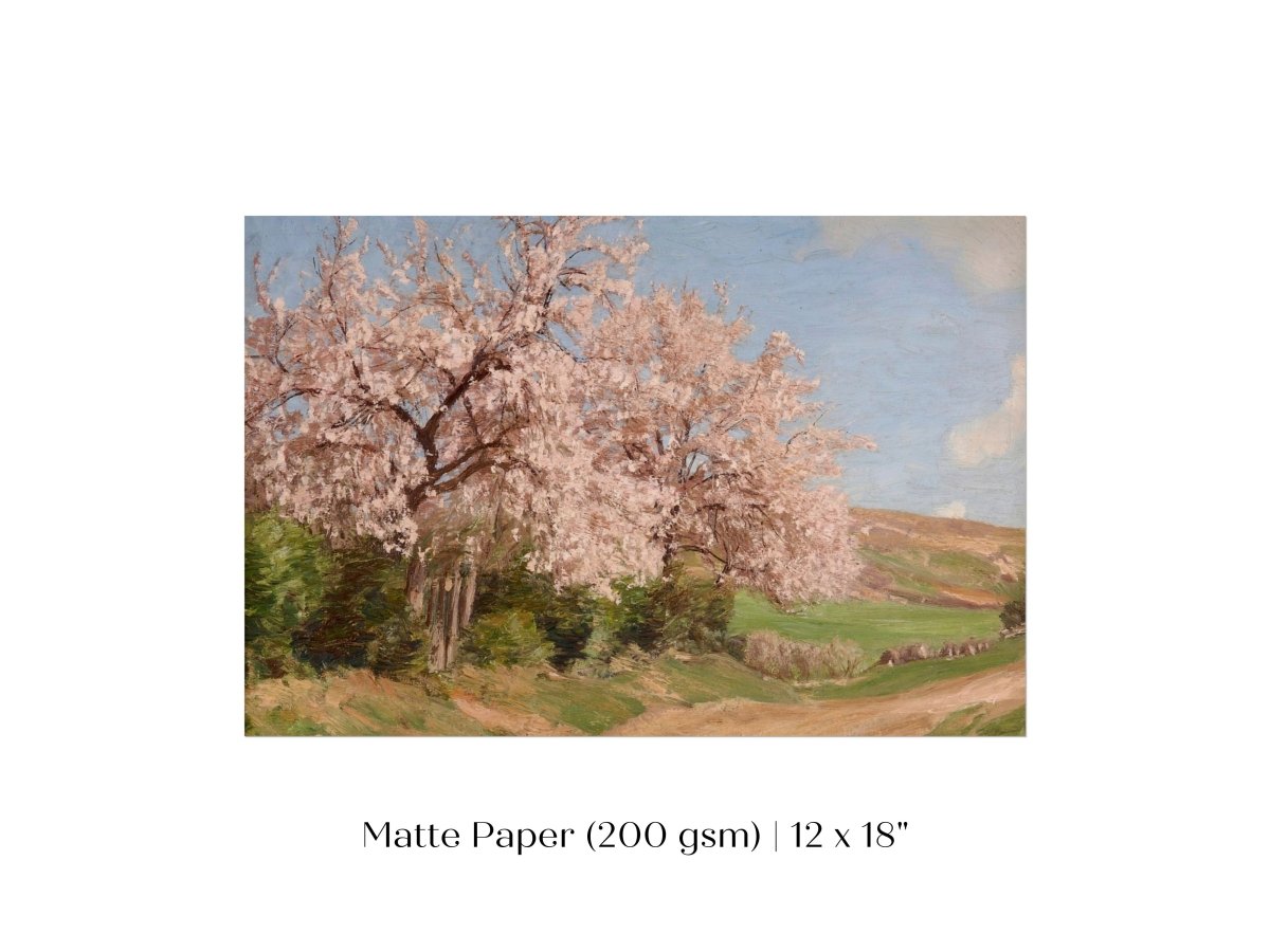 Cherry Blossom | P440 - Single Art Prints - Piccolo Fiore Prints