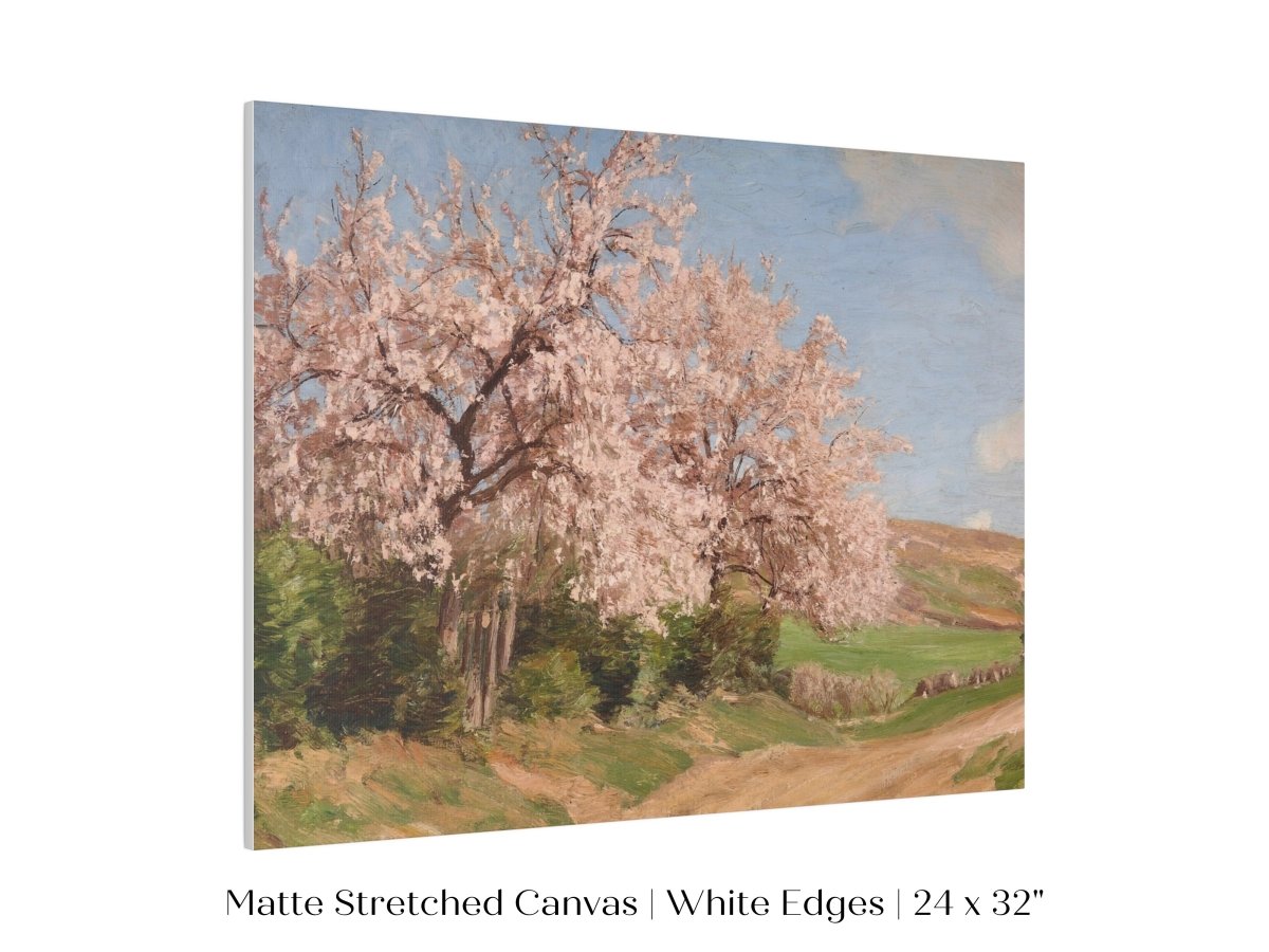 Cherry Blossom | P440 - Single Art Prints - Piccolo Fiore Prints