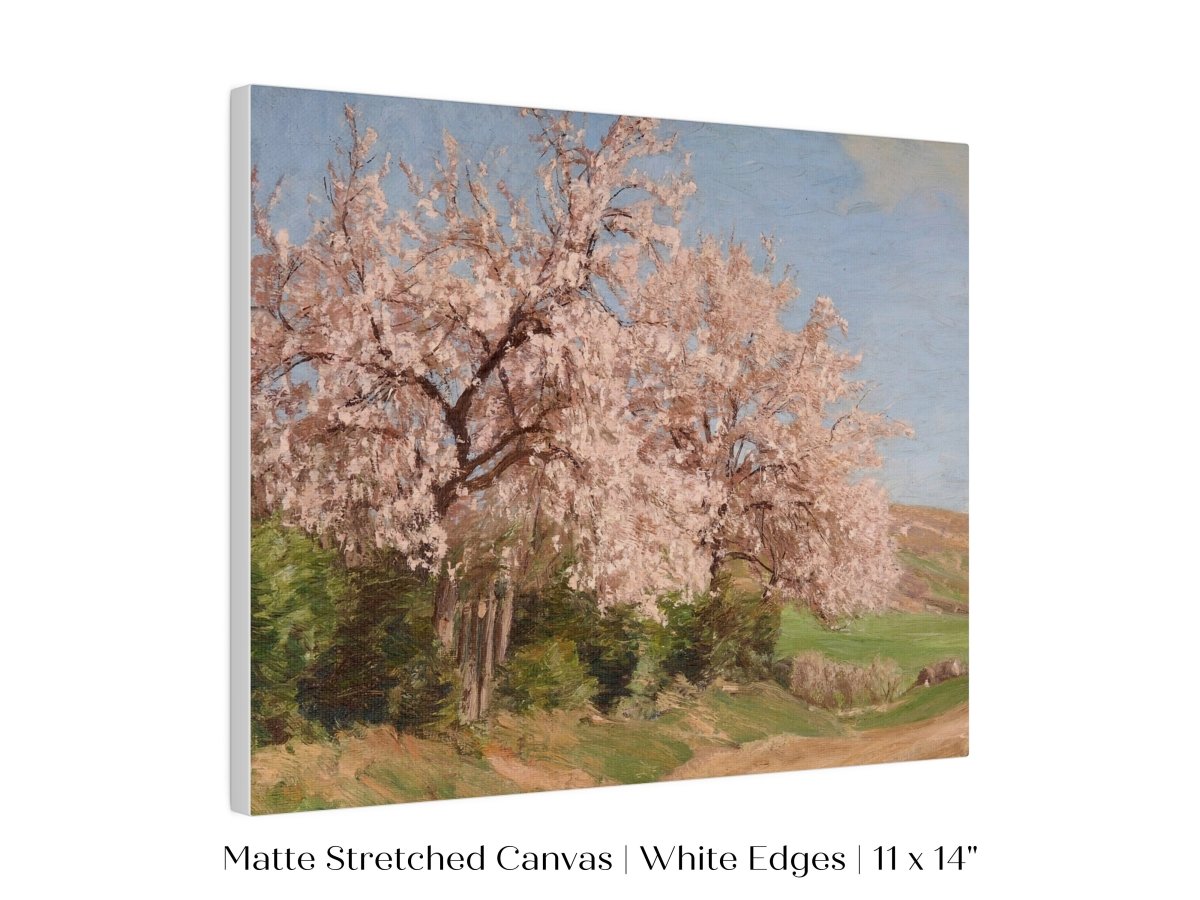 Cherry Blossom | P440 - Single Art Prints - Piccolo Fiore Prints