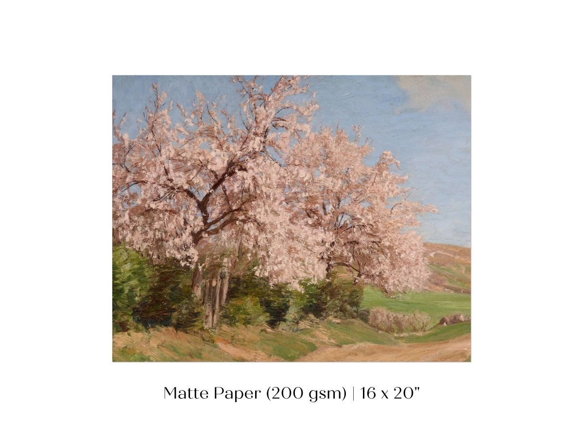 Cherry Blossom | P440 - Single Art Prints - Piccolo Fiore Prints