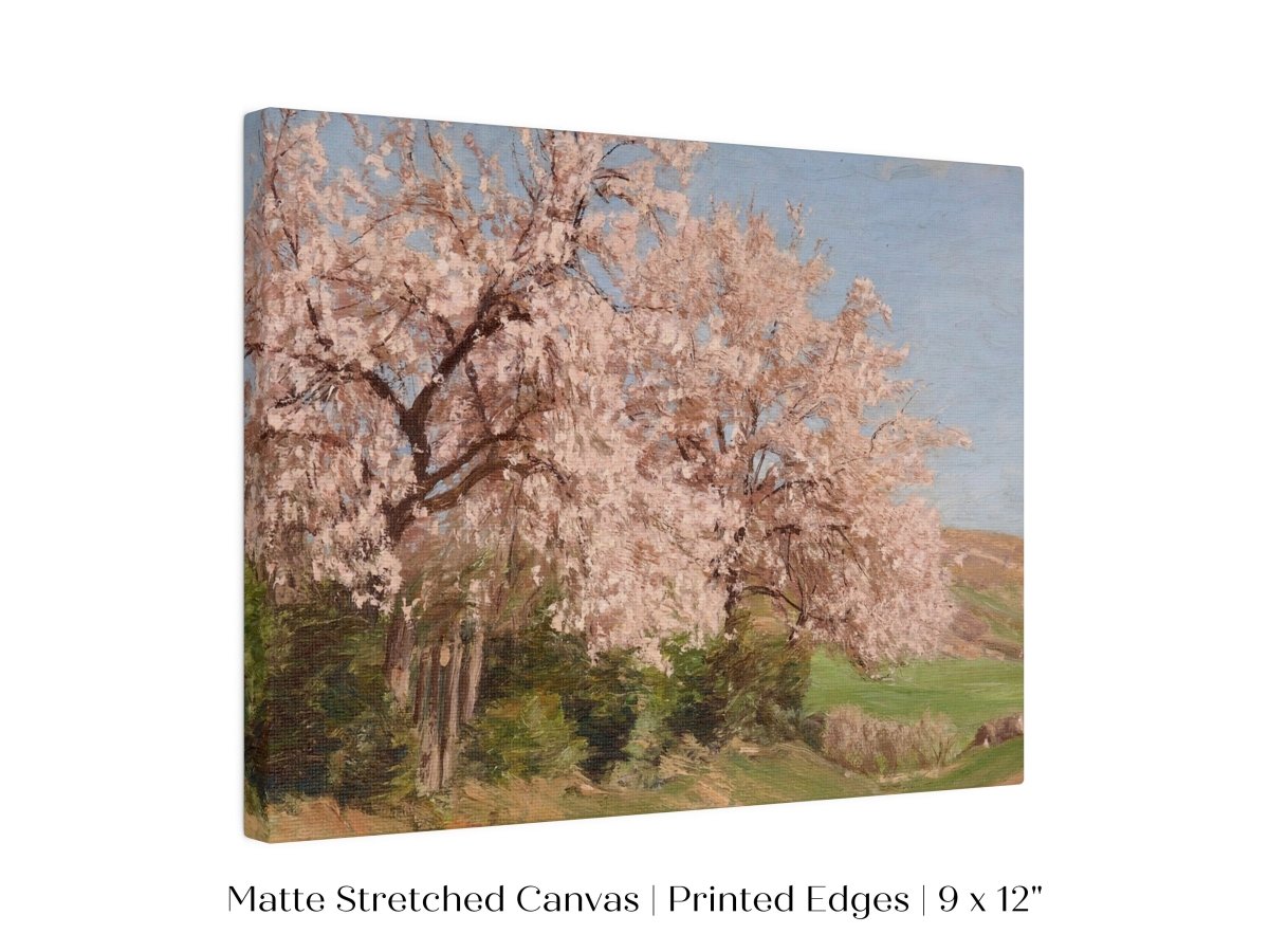 Cherry Blossom | P440 - Single Art Prints - Piccolo Fiore Prints