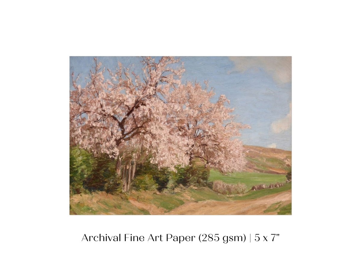 Cherry Blossom | P440 - Single Art Prints - Piccolo Fiore Prints