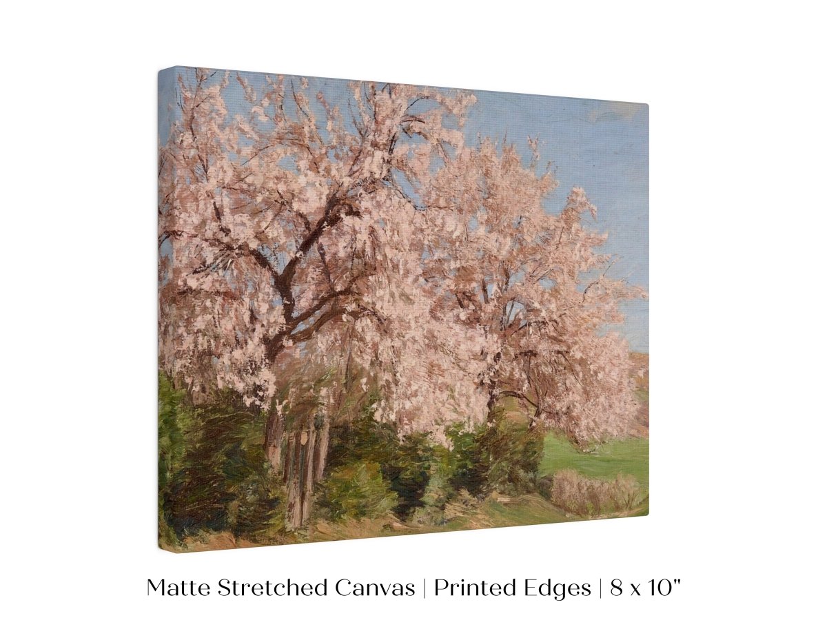 Cherry Blossom | P440 - Single Art Prints - Piccolo Fiore Prints