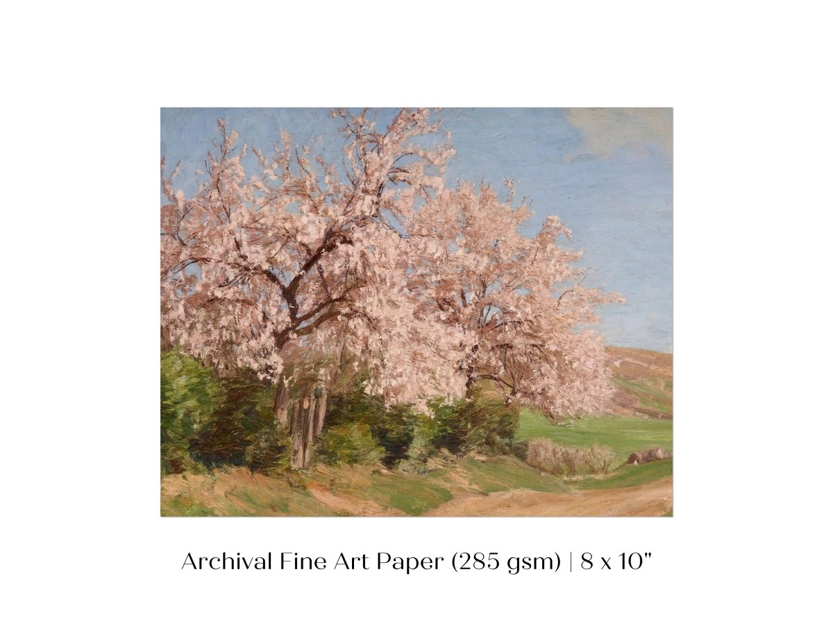 Cherry Blossom | P440 - Single Art Prints - Piccolo Fiore Prints