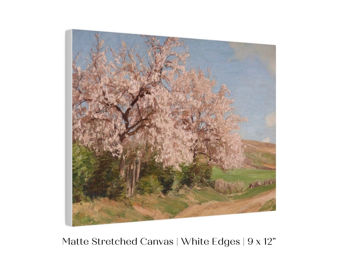 Cherry Blossom | P440 - Single Art Prints - Piccolo Fiore Prints