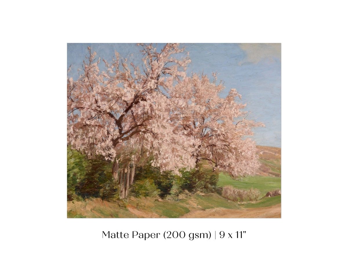 Cherry Blossom | P440 - Single Art Prints - Piccolo Fiore Prints