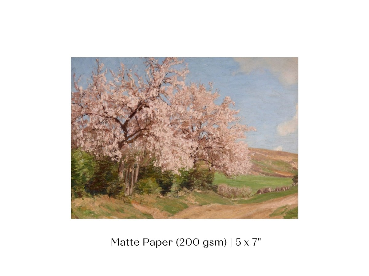 Cherry Blossom | P440 - Single Art Prints - Piccolo Fiore Prints