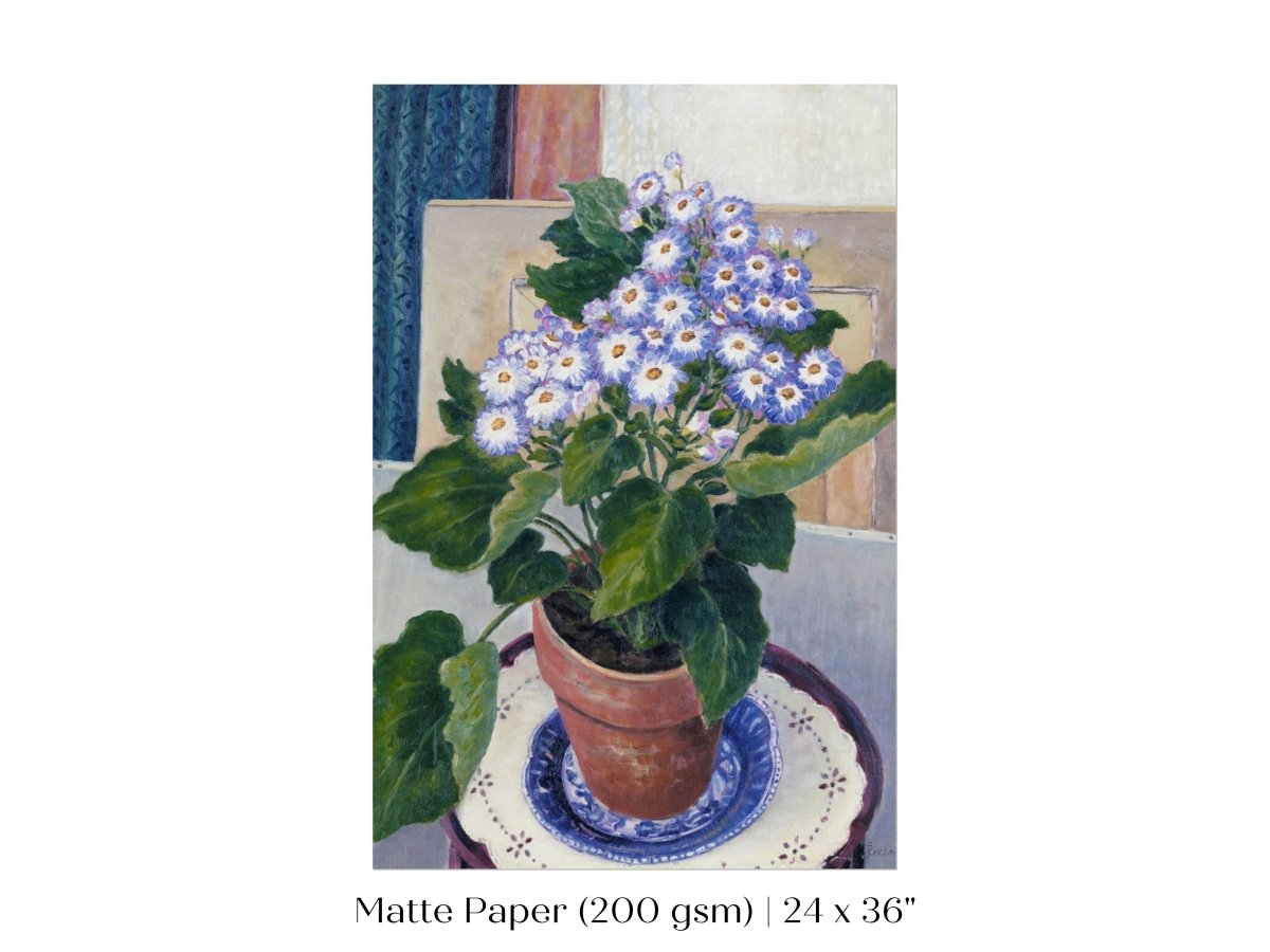 Cineraria | P208 - Single Art Prints - Piccolo Fiore Prints