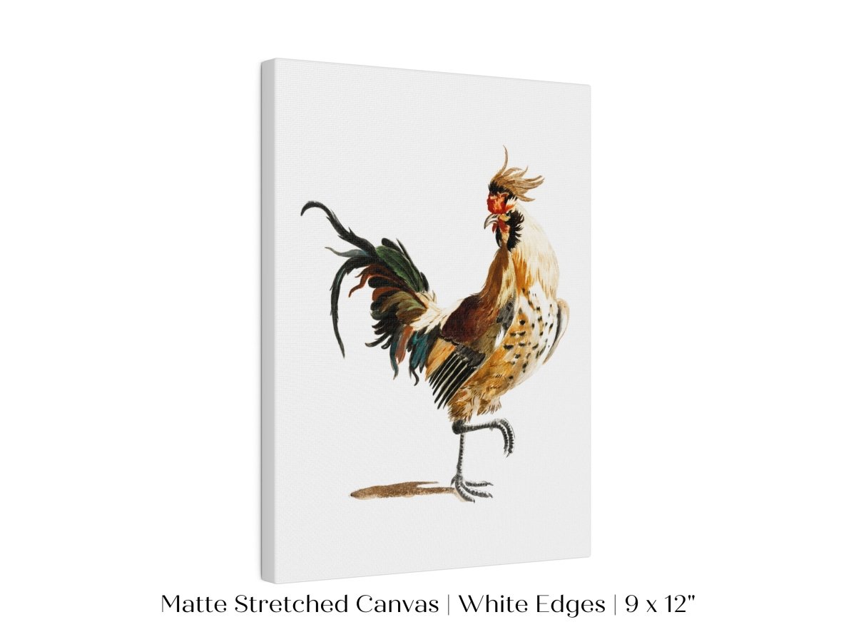 Cockerel Illustration | P102 - Single Art Prints - Piccolo Fiore Prints