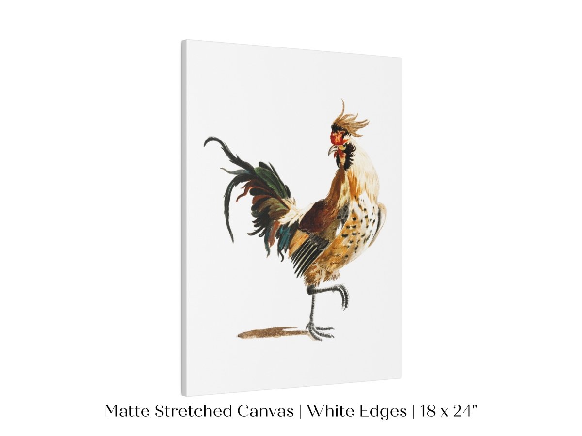 Cockerel Illustration | P102 - Single Art Prints - Piccolo Fiore Prints