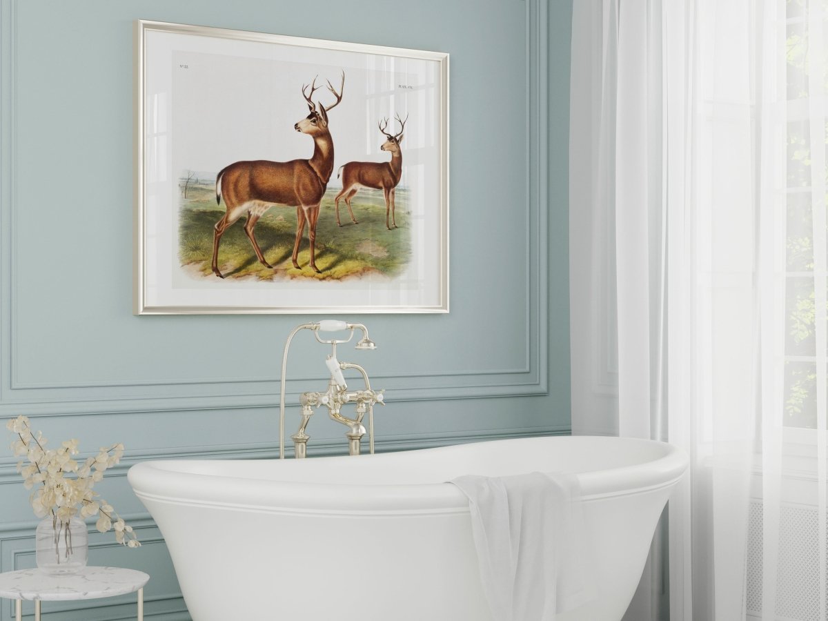 Columbian Black - tailed Deer | P72 - Single Art Prints - Piccolo Fiore Prints