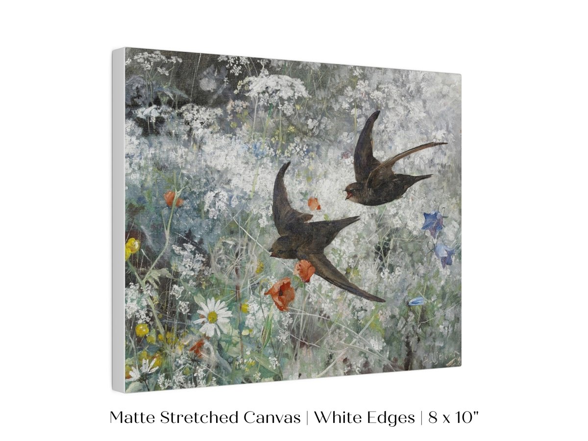 Common Swifts and Wildflowers | P442 - Single Art Prints - Piccolo Fiore Prints