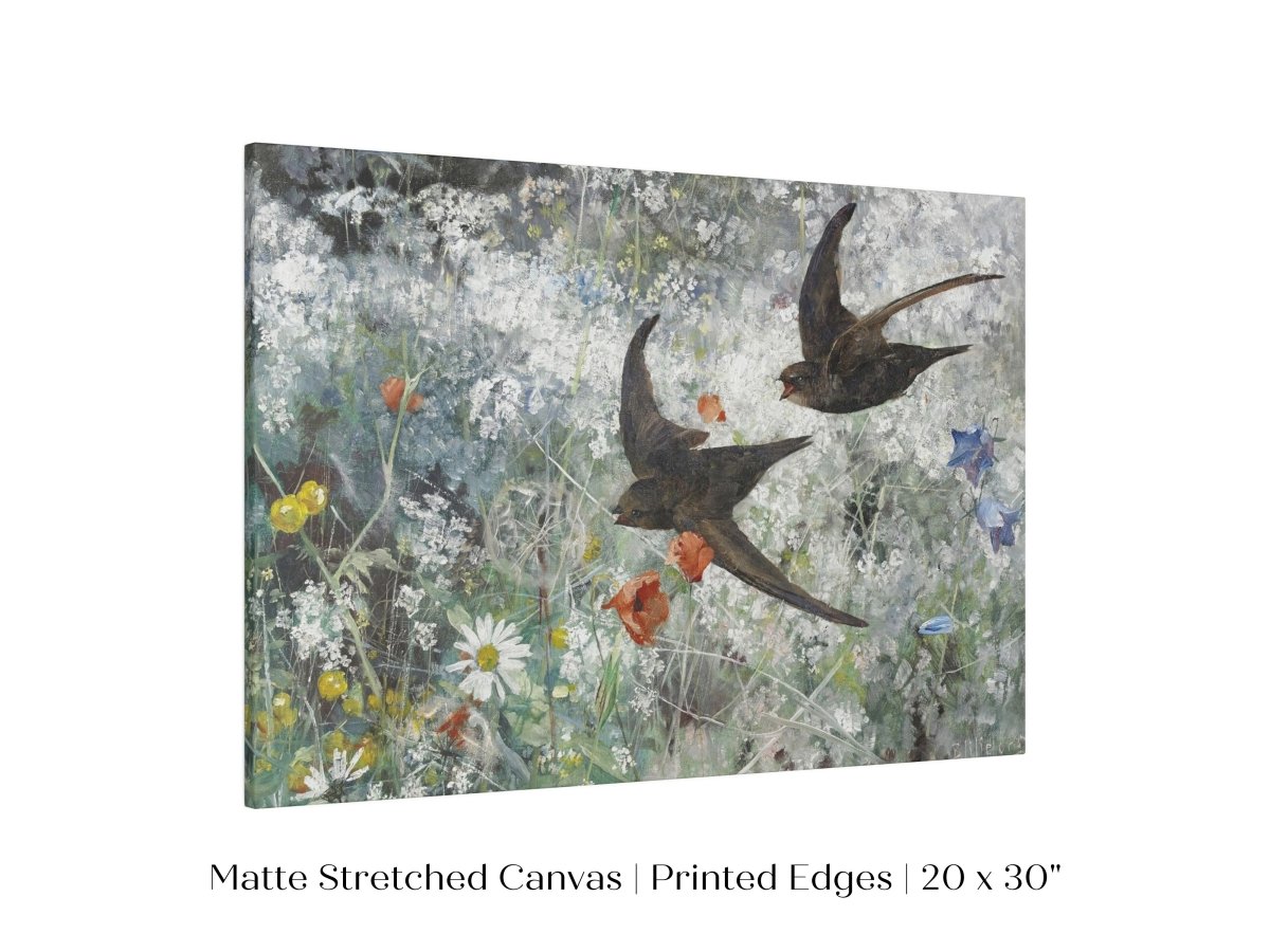Common Swifts and Wildflowers | P442 - Single Art Prints - Piccolo Fiore Prints